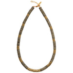 Collier Snake 5